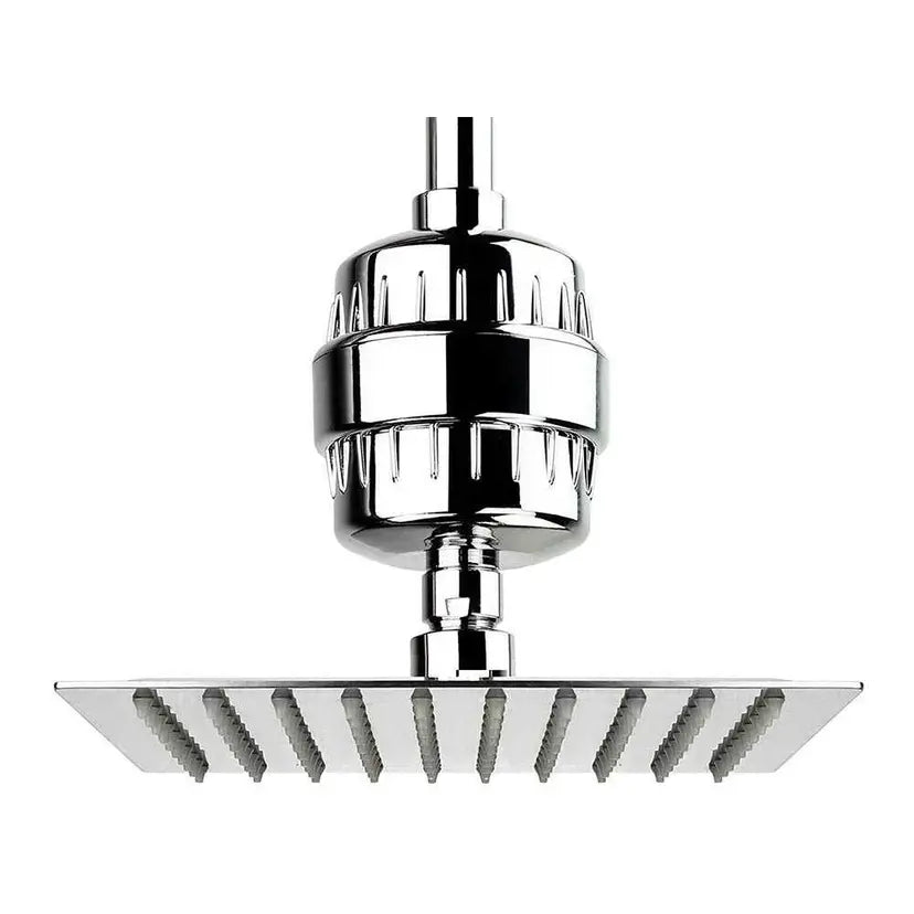 Lucents Wellness Shower Filter